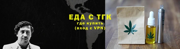 СК Инта