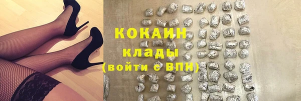 индика Алексеевка