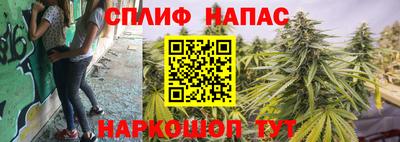 соль ск Обь