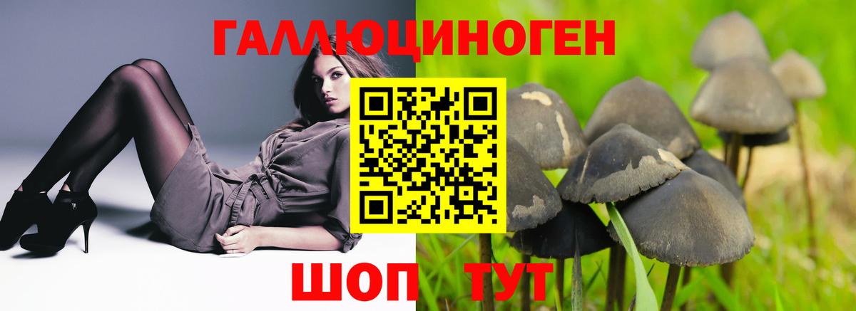 сколько стоит  Галлюциногенные грибы Psilocybe  Псилоцибиновые грибы MAGIC MUSHROOMS  Вход с VPN  Якутск 